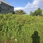 Bán đất Quốc Lộ 14, 7.800m², giá 1 tỷ 490 triệu - Ảnh thu nhỏ 2