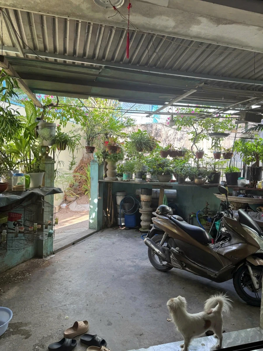 Bán nhà 2 tầng 128 m² Quy Nhơn, Gia Lai 900 triệu - Ảnh thu nhỏ 2