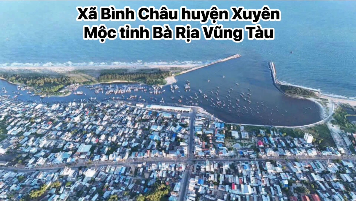 Bán đất 7300m2 mặt tiền đường nhựa tại xã Bình Châu, Xuyên Mộc, Bà Rịa Vũng Tàu - Ảnh 1