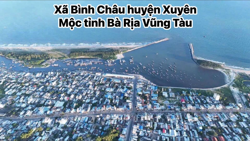Bán đất 7300m2 mặt tiền đường nhựa tại xã Bình Châu, Xuyên Mộc, Bà Rịa Vũng Tàu