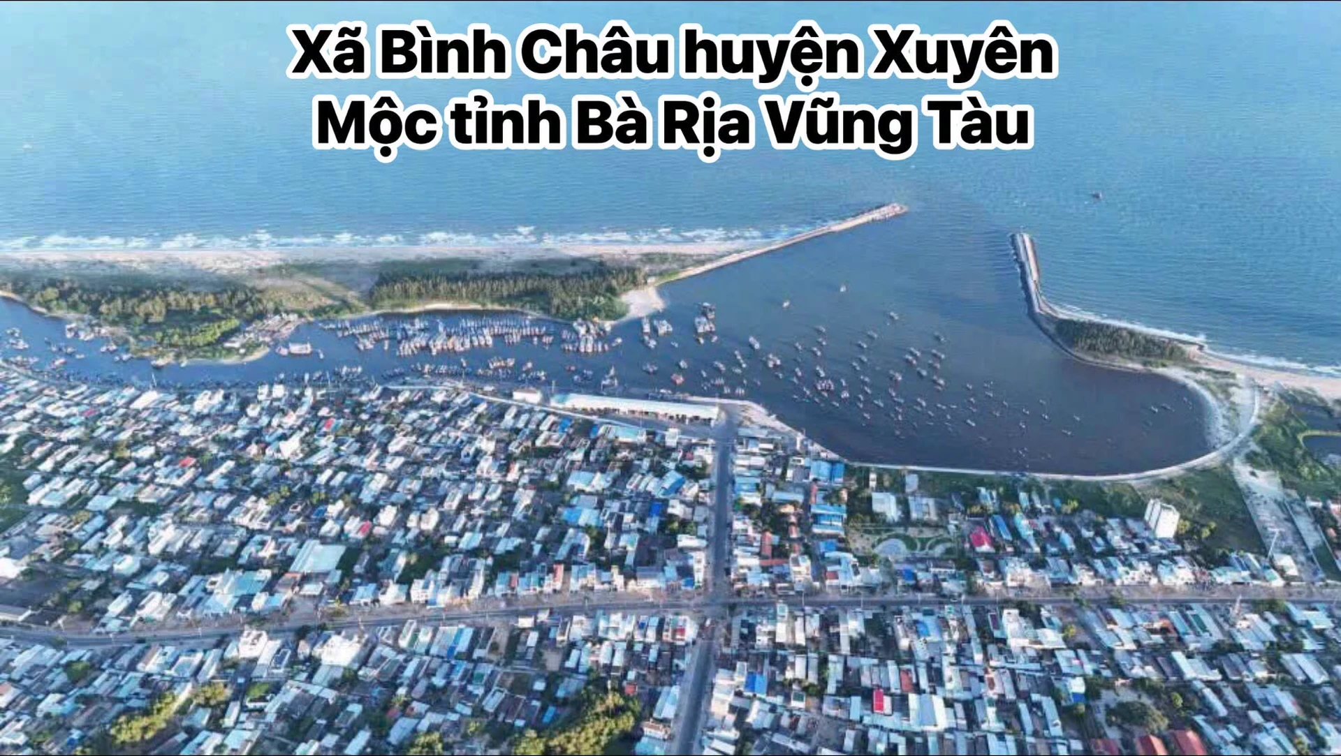 Bán đất 7300m2 mặt tiền đường nhựa tại xã Bình Châu, Xuyên Mộc, Bà Rịa Vũng Tàu - Ảnh 1