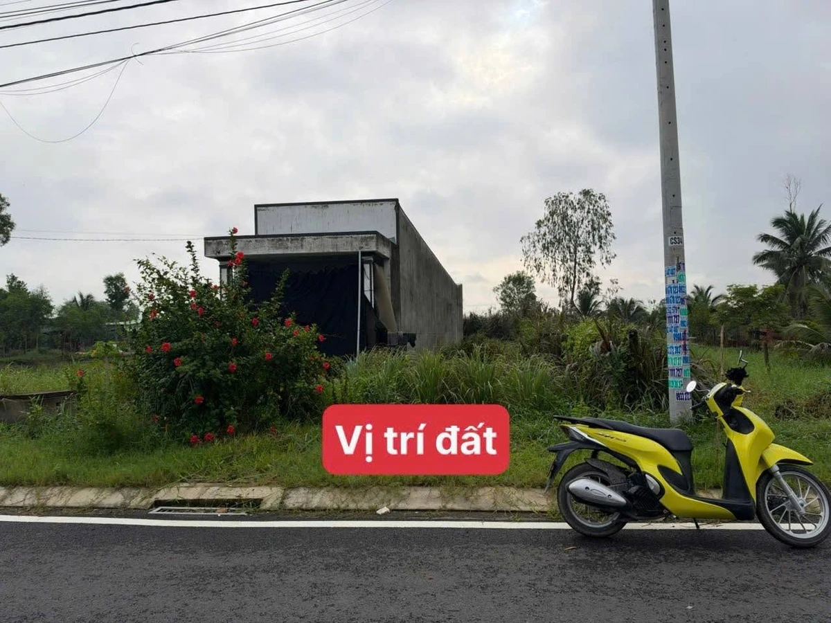 Bán đất thổ cư mặt tiền đường nhựa số 2, 5x39m, Bình Lợi, Xã Hoà Khánh, Tây Ninh - Ảnh 1
