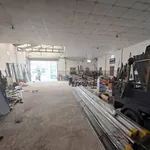 Bán kho xưởng 262m² mặt tiền Tây Ninh 5 tỷ 400 - Ảnh thu nhỏ 1