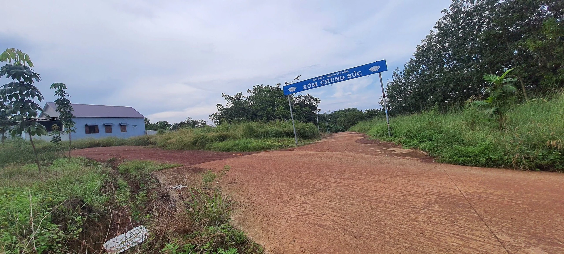 Bán đất Tân Đông, Bình Chánh, 2 lô - Ảnh 1