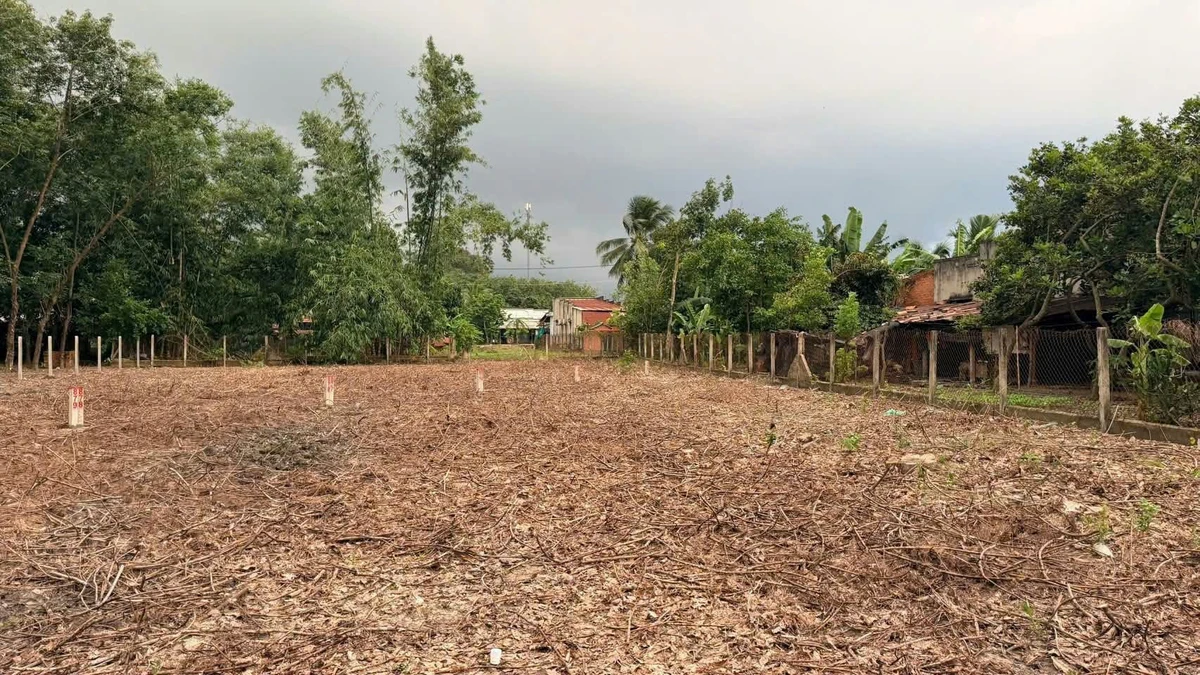 Bán đất 1137m2 có 99m2 thổ cư tại Dương Minh Châu, Tây Ninh giá 850 triệu - Ảnh thu nhỏ 2