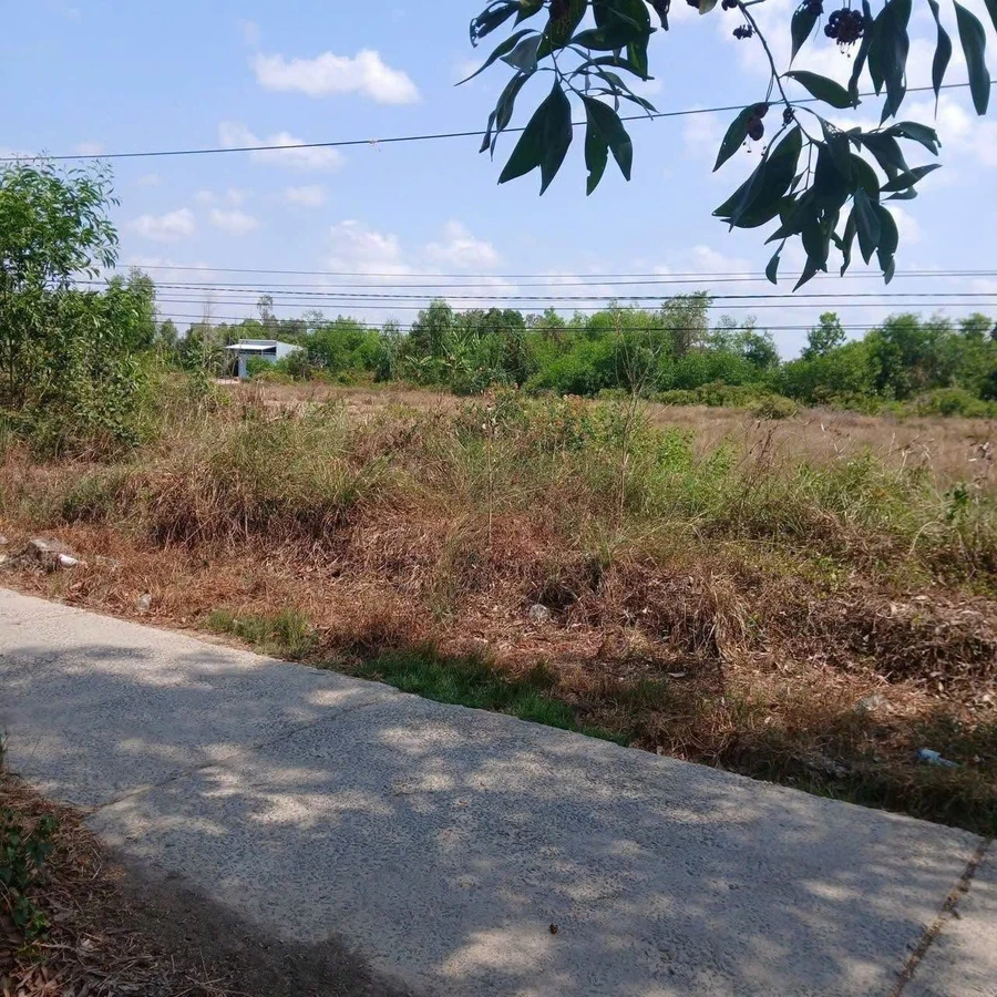 Bán đất nền 5x60m, 75m2 thổ cư, sổ hồng riêng, giá 340 triệu tại An Xuyên, Cà Mau - Ảnh thu nhỏ 3