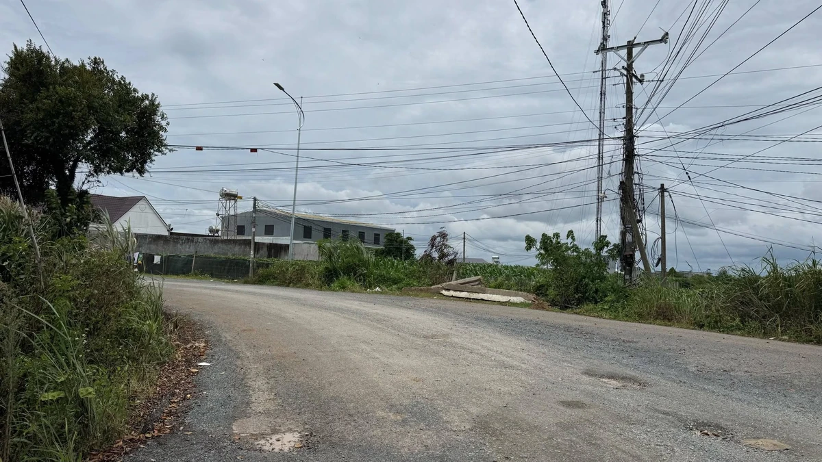 Bán lô đất mặt tiền đường Liên Hiệp 75m2, 1 tỷ 350 triệu - Ảnh thu nhỏ 3