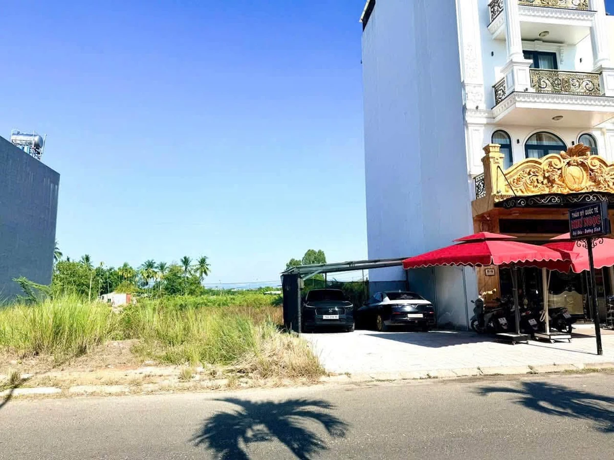 Bán đất mặt tiền Phan Thái Ất, 84m², Bình Chánh - Ảnh thu nhỏ 3