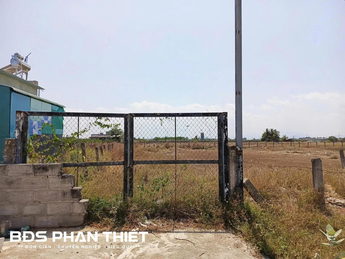 Bán đất mặt tiền Phan Thiết 1000m² giá 1.25 tỷ - Ảnh thu nhỏ 5