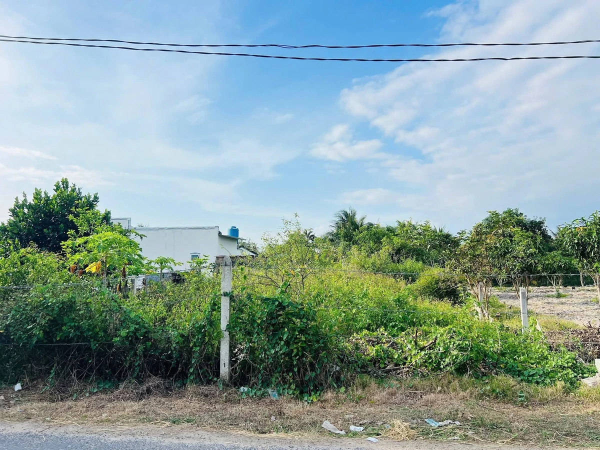 Bán đất Suối Tiên 227m² ngang 9m giá 1,3 tỷ - Ảnh thu nhỏ 3