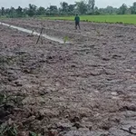 Bán đất nền 2 công tại Ba Tri, Nhà Bè - 299 triệu - Ảnh thu nhỏ 1
