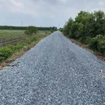 Bán 1000m² đất vườn Tân Thành Thủ Thừa 440 triệu - Ảnh thu nhỏ 3