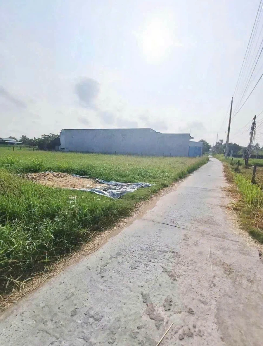 Bán đất nền 131m² Tân An Tây Ninh 550 triệu - Ảnh thu nhỏ 2