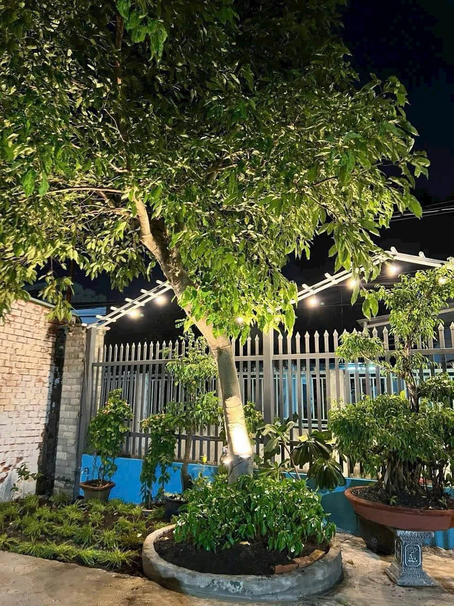 Bán đất vườn 380m² Hiệp Hoà giá 6 tỷ 900 triệu - Ảnh thu nhỏ 4