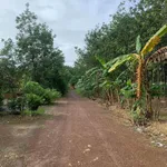 Bán đất Tân Hưng 140m2 giá 450 triệu - Ảnh thu nhỏ 2