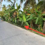 Bán đất nền 437m² Xã Phú Túc, gần cầu Rạch Miễu - Ảnh thu nhỏ 2