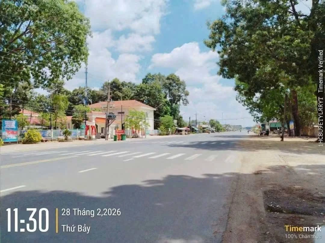 Bán đất mặt tiền Nhựa Minh Long Chơn Thành 30000m2 390 triệu - Ảnh thu nhỏ 2