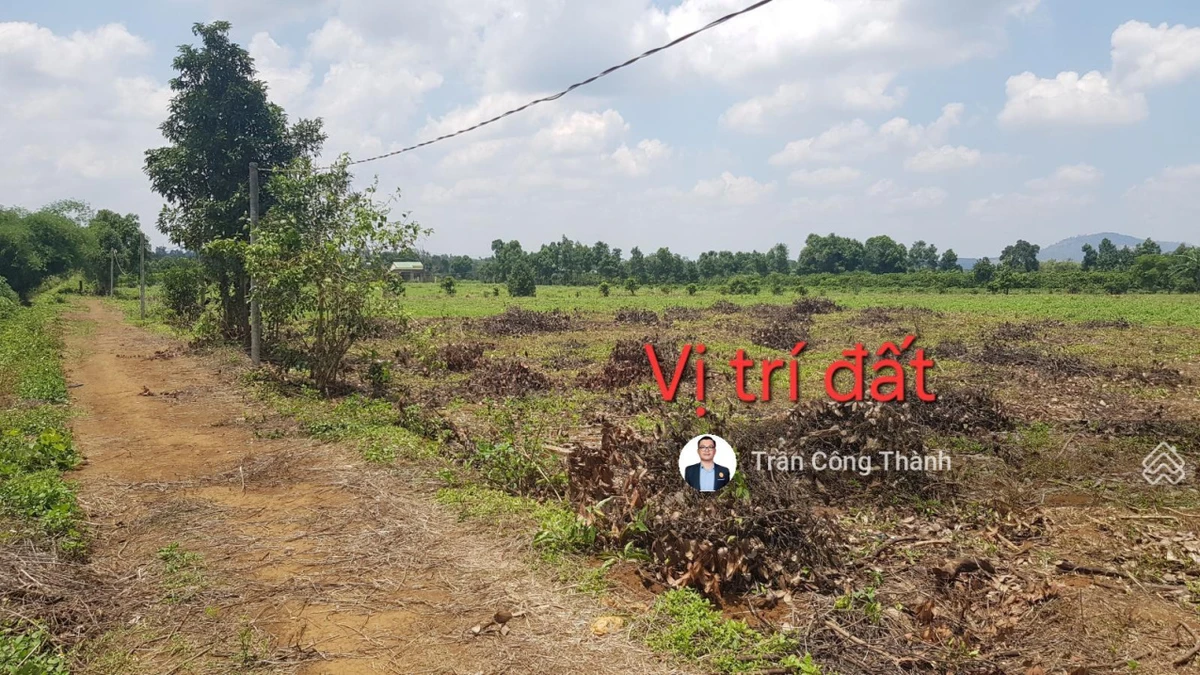 1948m2 (sẵn 230m2 đất ở) - mặt tiền 30m - Ảnh thu nhỏ 4