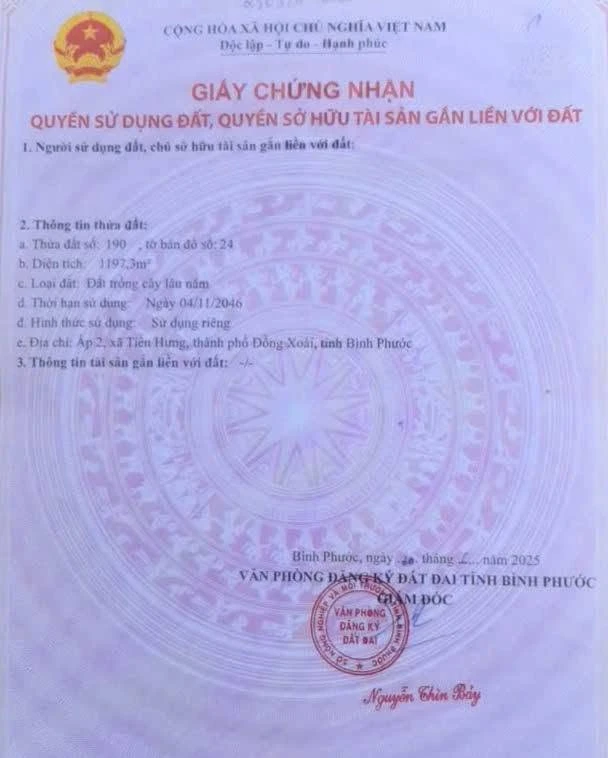 Bán đất Tiến Hưng 5000m² giá 1 tỷ 3 - Ảnh thu nhỏ 3