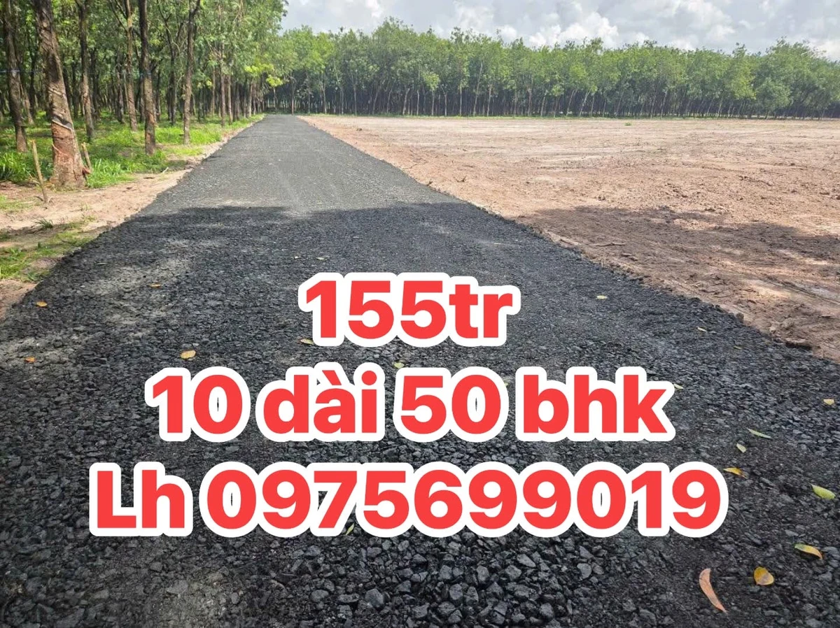 Bán đất Giồng Cà Bình Tân 500m² 155 triệu - Ảnh thu nhỏ 2