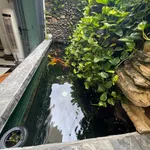 Bán biệt thự lô góc KDC Bình Hưng 163m2, 5PN, 21 tỷ - Ảnh thu nhỏ 2