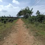 Bán lô đất nền 5m × 28m Đào Duy Từ 140m², 3xx triệu - Ảnh thu nhỏ 3
