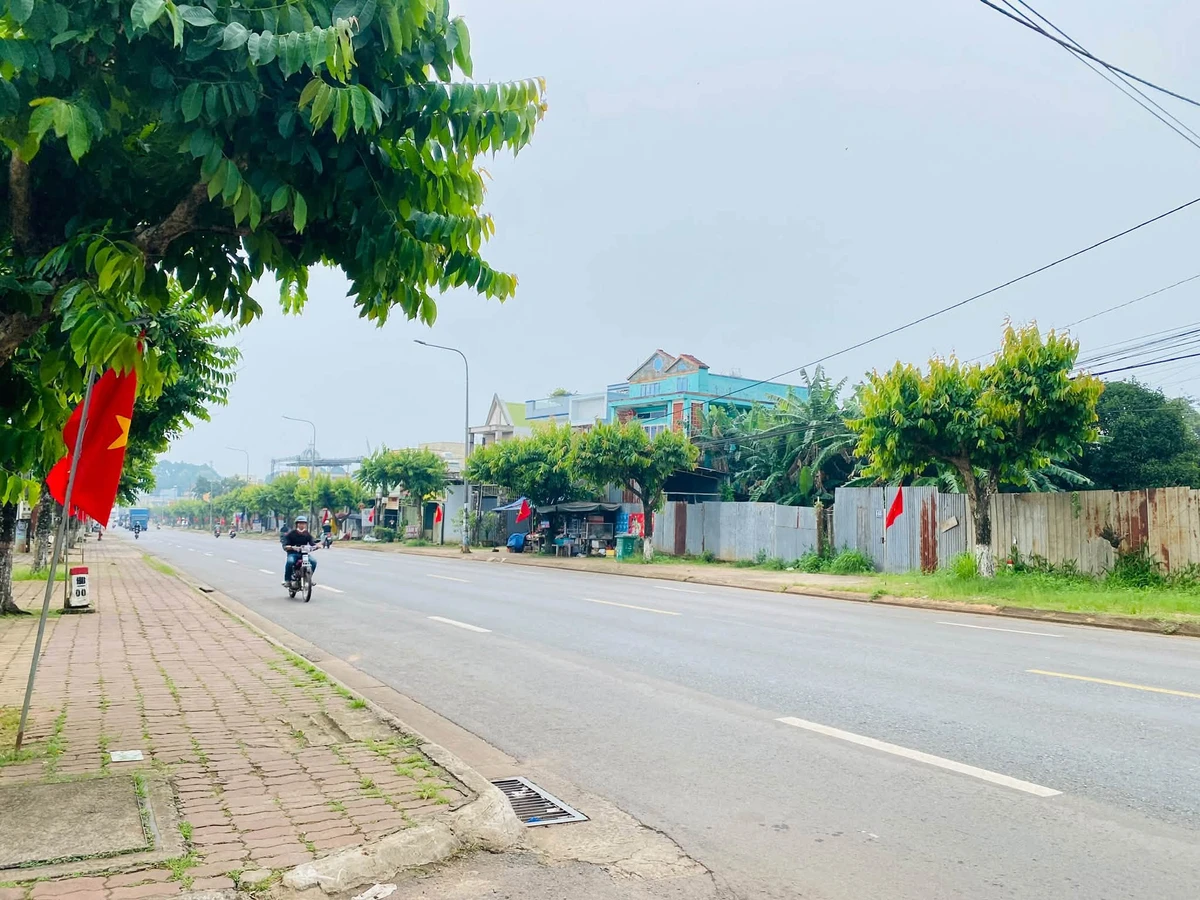 Bán đất sát QL56, 105m², 999 triệu sổ riêng - Ảnh thu nhỏ 3