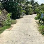 Bán 1.160m² đất vườn dừa Xã Hữu Định Bến Tre 1 tỷ 700 triệu - Ảnh thu nhỏ 4