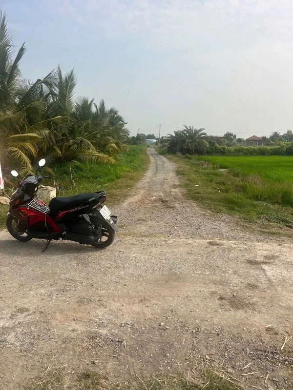Bán đất thổ cư 5x30m Tân Bình, Long An 549 triệu