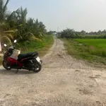 Bán đất thổ cư 5x30m Tân Bình, Long An 549 triệu - Ảnh thu nhỏ 1