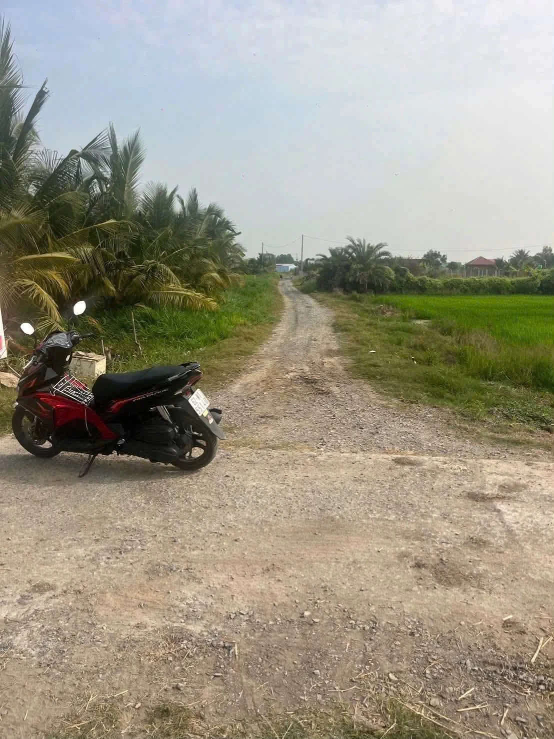 Bán đất thổ cư 5x30m Tân Bình, Long An 549 triệu - Ảnh 1
