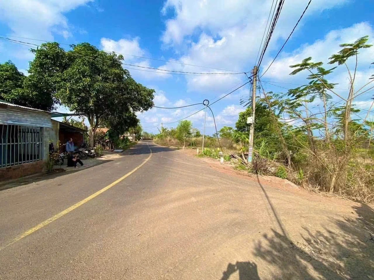 Bán đất 1600m² Sông Thao Trảng Bom 2 tỷ 490 triệu - Ảnh thu nhỏ 5