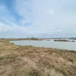 Bán 2 Vùng Nuôi tại Xã Nhơn Mỹ và Xã Long Giang, T. An Giang rộng đến hơn 40ha chỉ 108.1 tỷ đồng - Ảnh thu nhỏ 8
