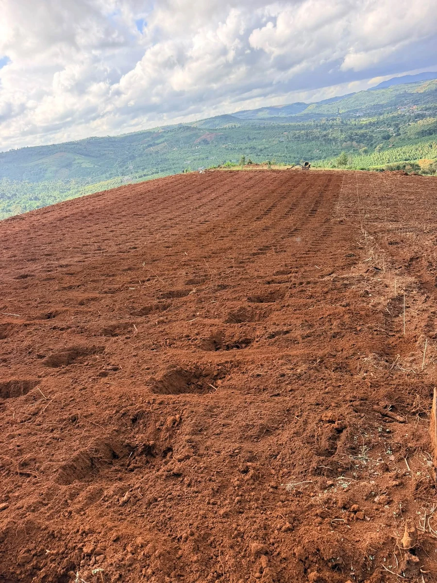 Bán đất 2ha sổ sách đầy đủ, 250m mặt đường, Lâm Đồng - Ảnh thu nhỏ 5