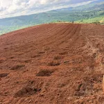 Bán đất 2ha sổ sách đầy đủ, 250m mặt đường, Lâm Đồng - Ảnh thu nhỏ 5