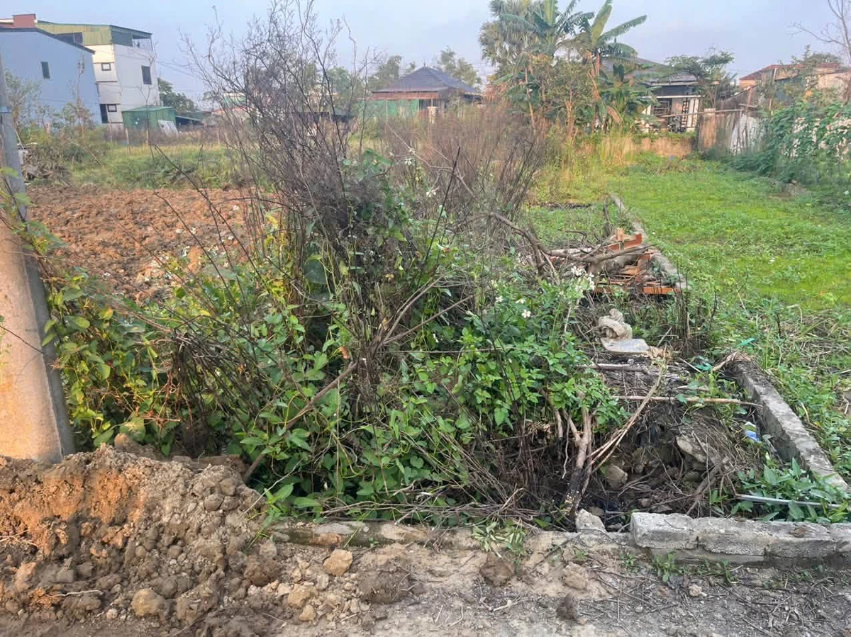 Bán đất 104m2 ngõ Nguyễn Sư Hồi, Hưng Đông, Vinh, Nghệ An - Ảnh thu nhỏ 2