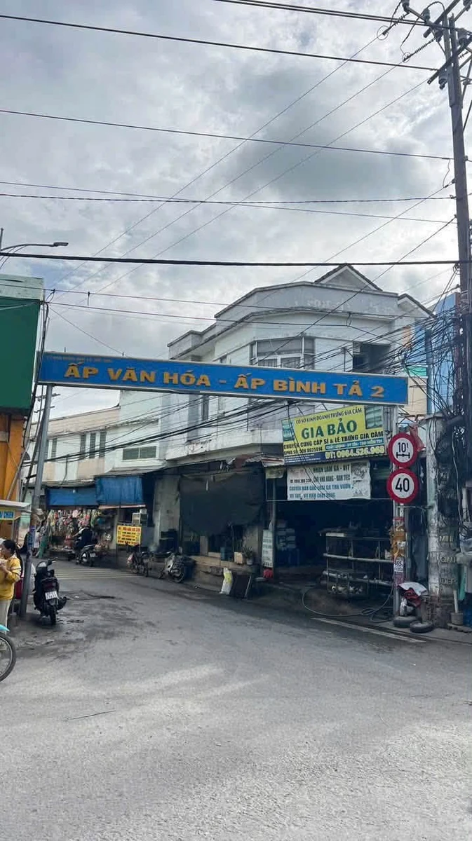 Bán đất mặt tiền Đức Hoà Đông, Đức Hoà, Long An 100m² giá 850 triệu - Ảnh 1