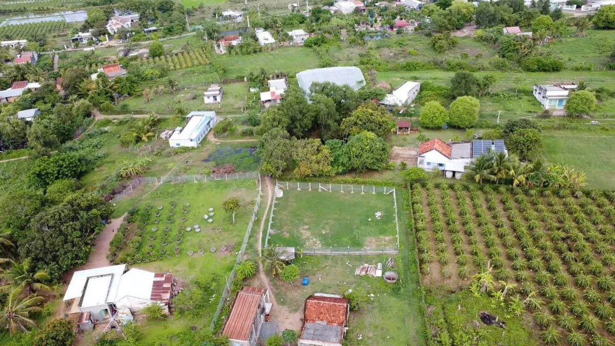 Bán lô đất 753,9m² góc 3 mặt đường Hàm Liêm - Ảnh thu nhỏ 3