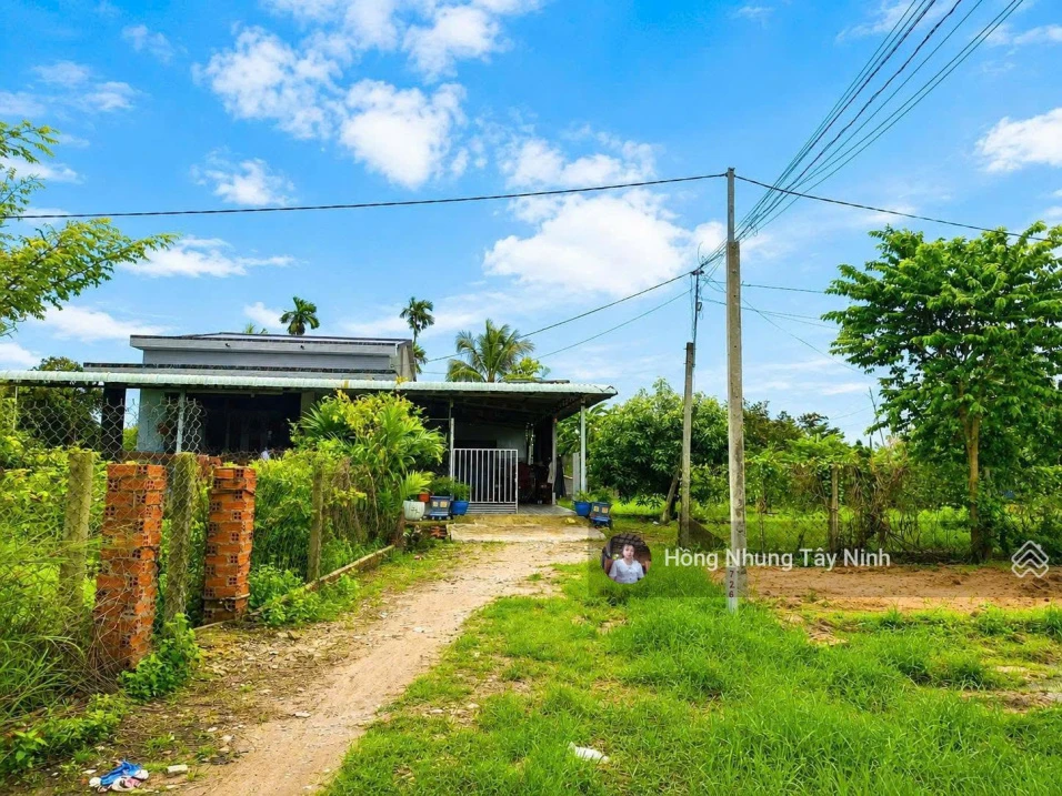 420tr, 6x40m thổ cư gần KCN Phước Đông - Ảnh 1