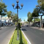 Bán đất 2500m2 mặt tiền kinh doanh CMT8 Bà Rịa 32 tỷ - Ảnh thu nhỏ 3