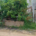 Bán lô đất 130m2 giá 1,49 tỷ tại Tương Bình Hiệp, Thủ Dầu Một, Bình Dương - Ảnh thu nhỏ 4