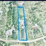 Bán nhà vườn 3,5 sào 2 mặt tiền, 22x150m, giá 3,9 tỷ tại Bắc Gia Nghĩa, Lâm Đồng - Ảnh thu nhỏ 1