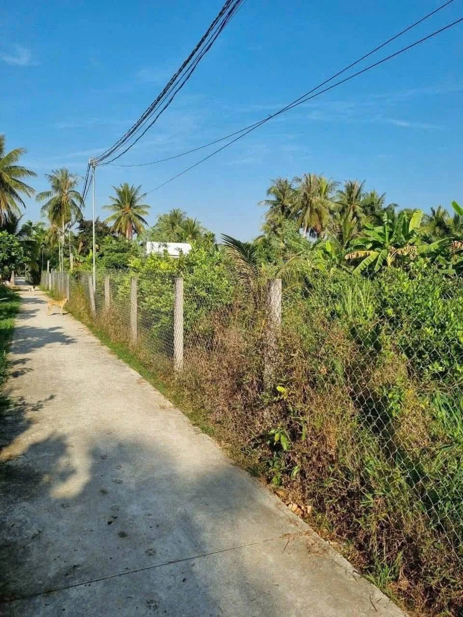 Bán đất Sơn Hòa 500m² giá 600 triệu - Ảnh thu nhỏ 2