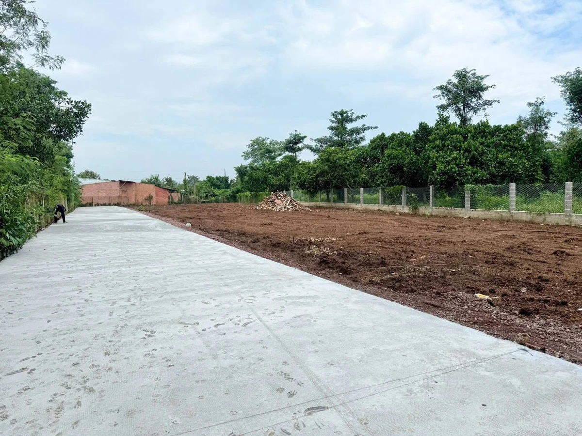 Bán nền Bảo Vinh Long Khánh 5x22m 770 triệu - Ảnh thu nhỏ 4