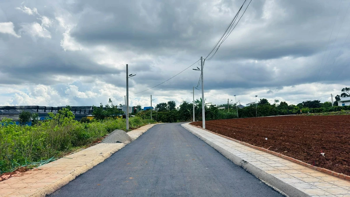 Bán đất Đức Trọng 75m² mặt tiền 799 triệu - Ảnh thu nhỏ 3