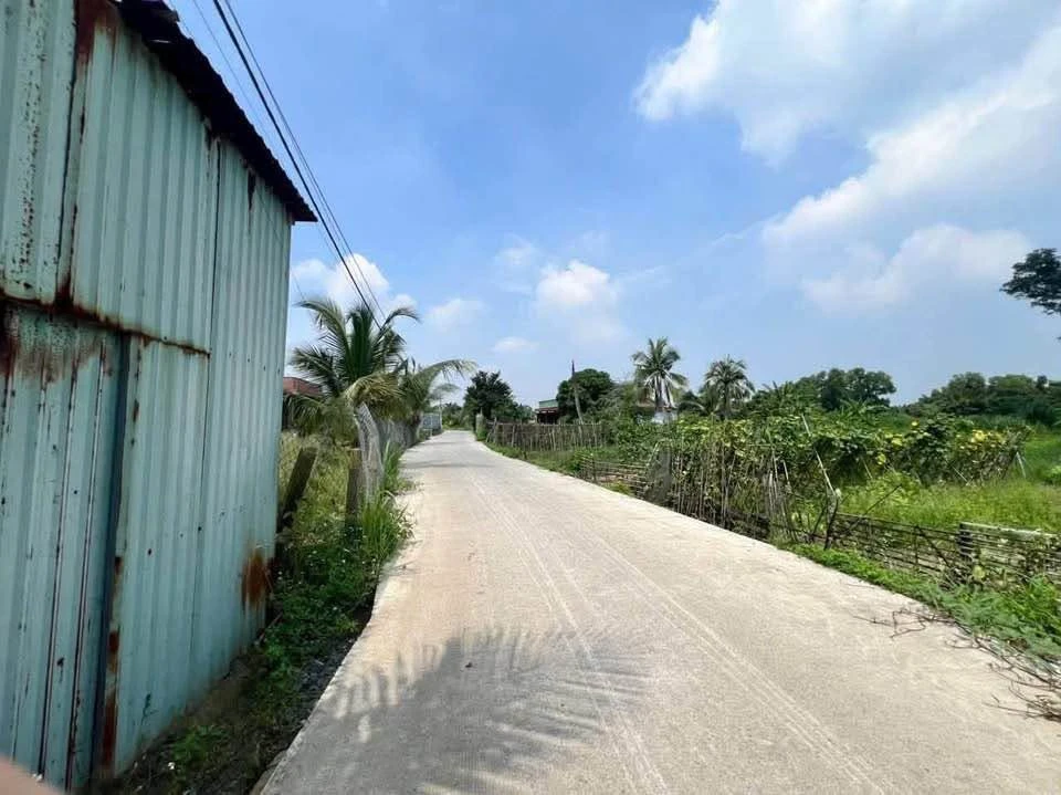 Bán đất thổ cư 1.488m2 mặt tiền 32m gần đường Vành Đai, Khánh Hậu, Tân An - Ảnh thu nhỏ 4