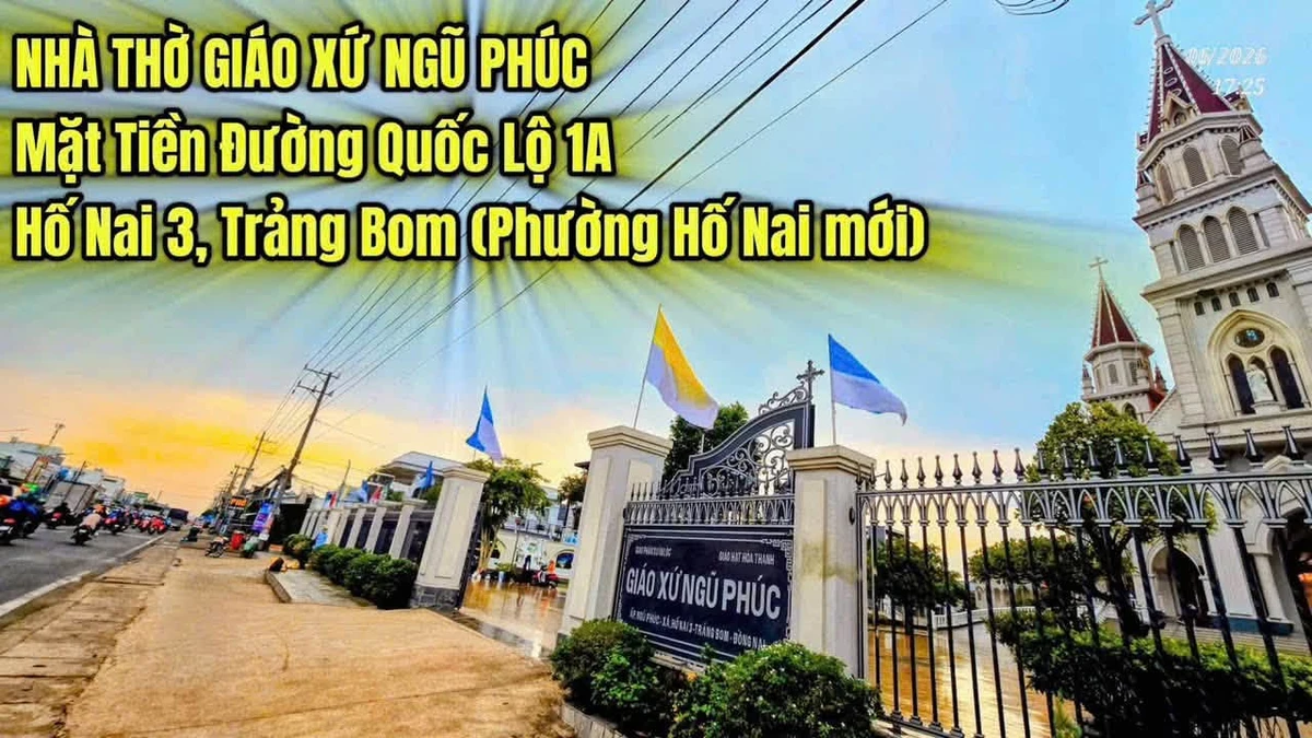 Bán lô đất thổ cư 116m² giá 1,99 tỷ gần Giáo xứ Ngũ Phúc, Phường Hố Nai, Đồng Nai - Ảnh thu nhỏ 2