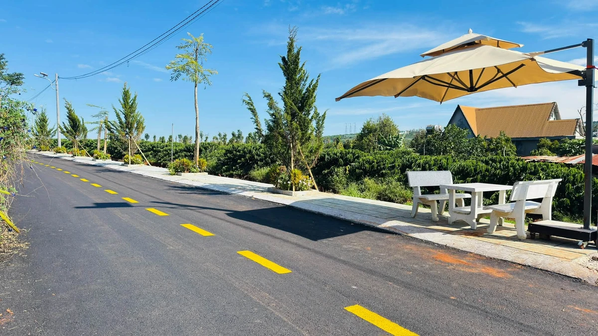 Bán đất Tân Hà-Lâm Hà 610 triệu, 7x30 m² - Ảnh thu nhỏ 2