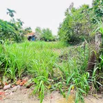Bán lô đất Tịnh Ấn Tây 100m² Hóc Môn, gần cầu Thạch Bích - Ảnh thu nhỏ 2