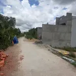 Bán 320 m² đất thổ cư xin phép xây dựng được ngay Ô Môn Cần Thơ 920 triệu - Ảnh thu nhỏ 1